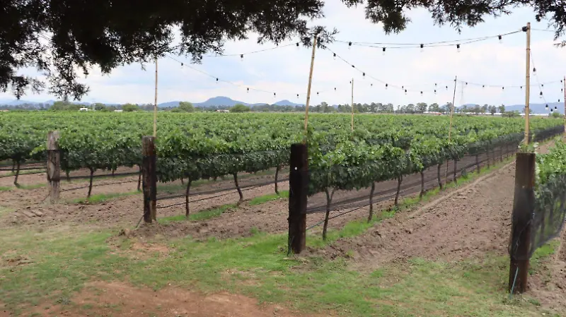 Se considera un lugar familiar y para conectar con la naturaleza